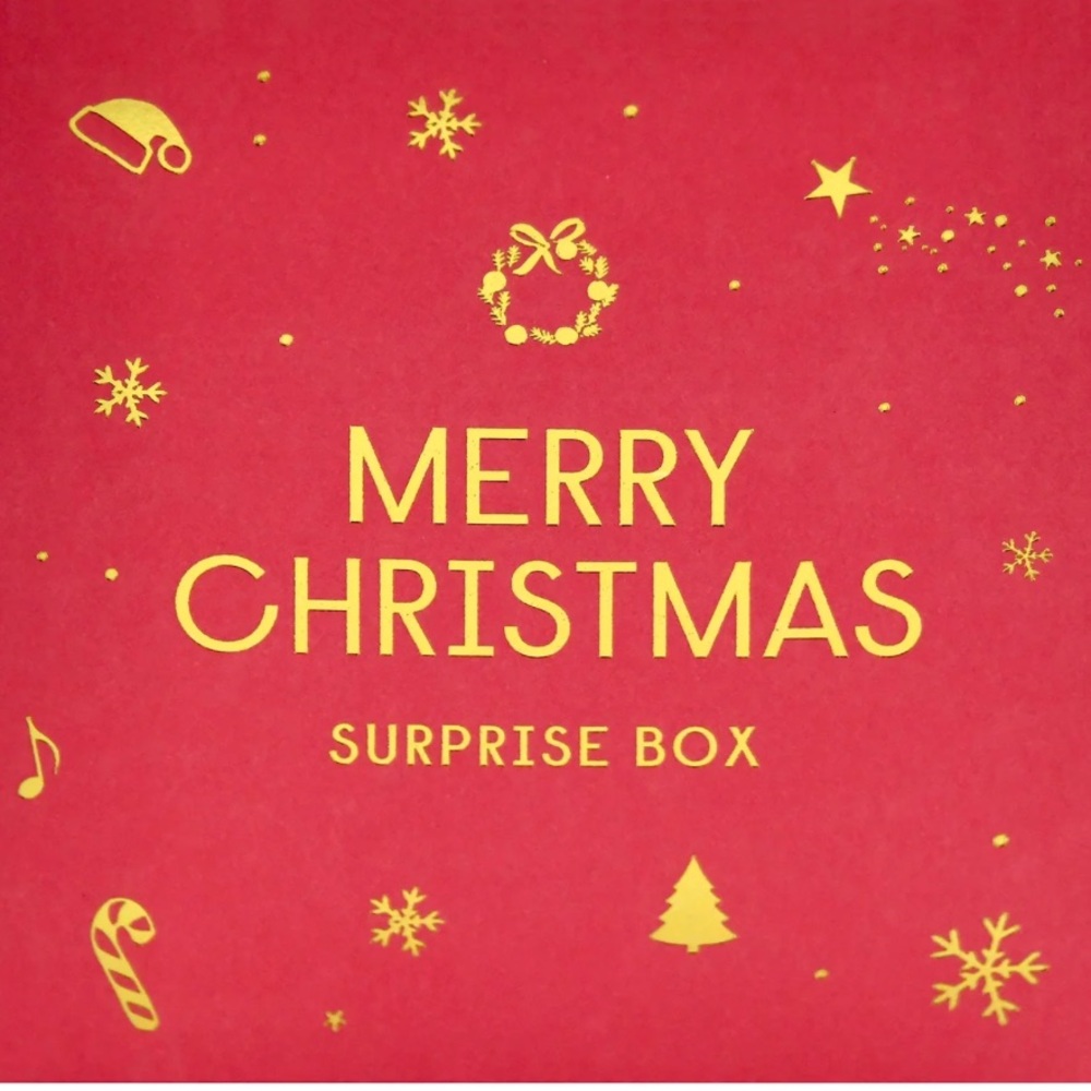 Merry Christmas Surprise Box